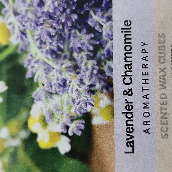 NIB Better Homes & Gardens Scented Wax Cubes - Picture 10 of 12